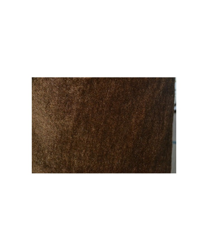 Pelo  corto