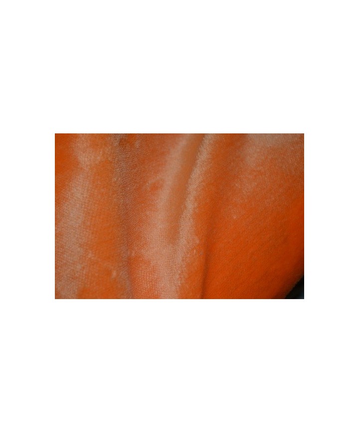 Pelo  corto