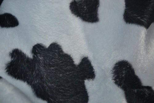 Vaca